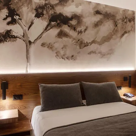 Hotel Afonso V &