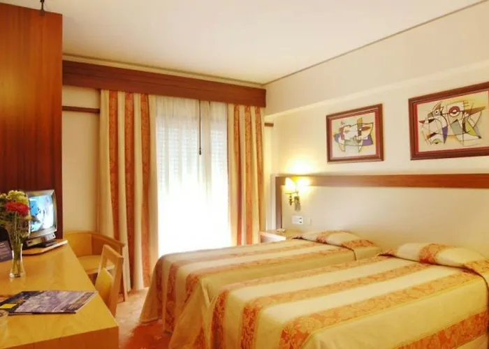 Afonso V & Αβέιρο